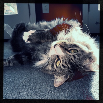 Zeke stretching