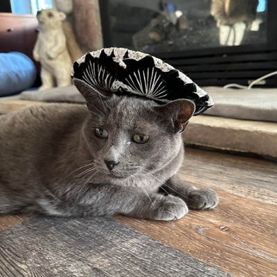 Serenity and Sombrero
