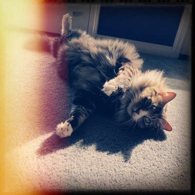 Zeke Sun flare