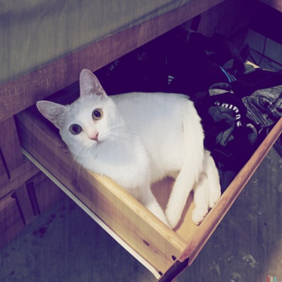 Finch says the underwear has to go somewhere else