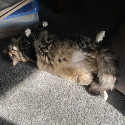Zeke wants the sun but not really