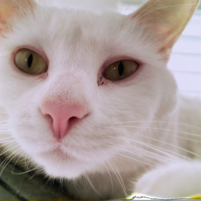 Finch you woke me for this