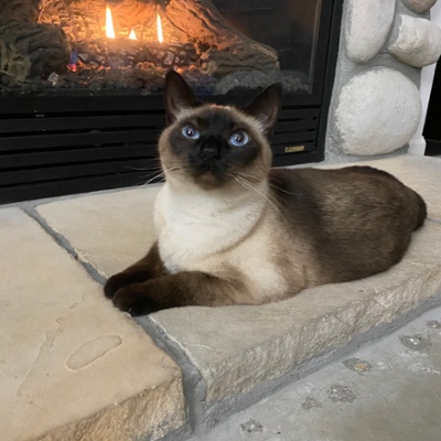 Bernadette fire