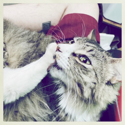 Zeke biting his toe beans