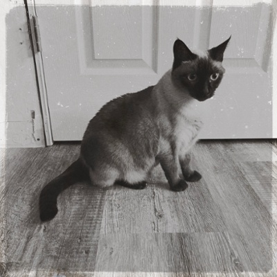 Bernadette in grey