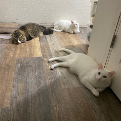 The three young ones loitering