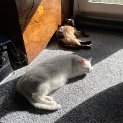 The sun makes friends of enemies
