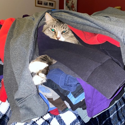 Zeke helping with the laundry