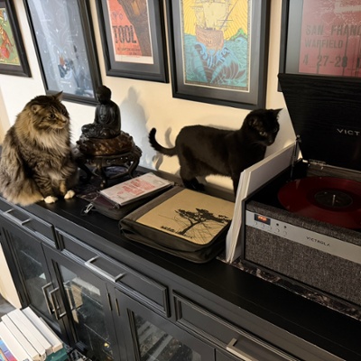 Cats and the Victrola
