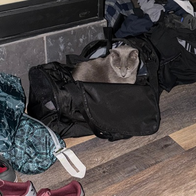 Serenity's Bags are Packed